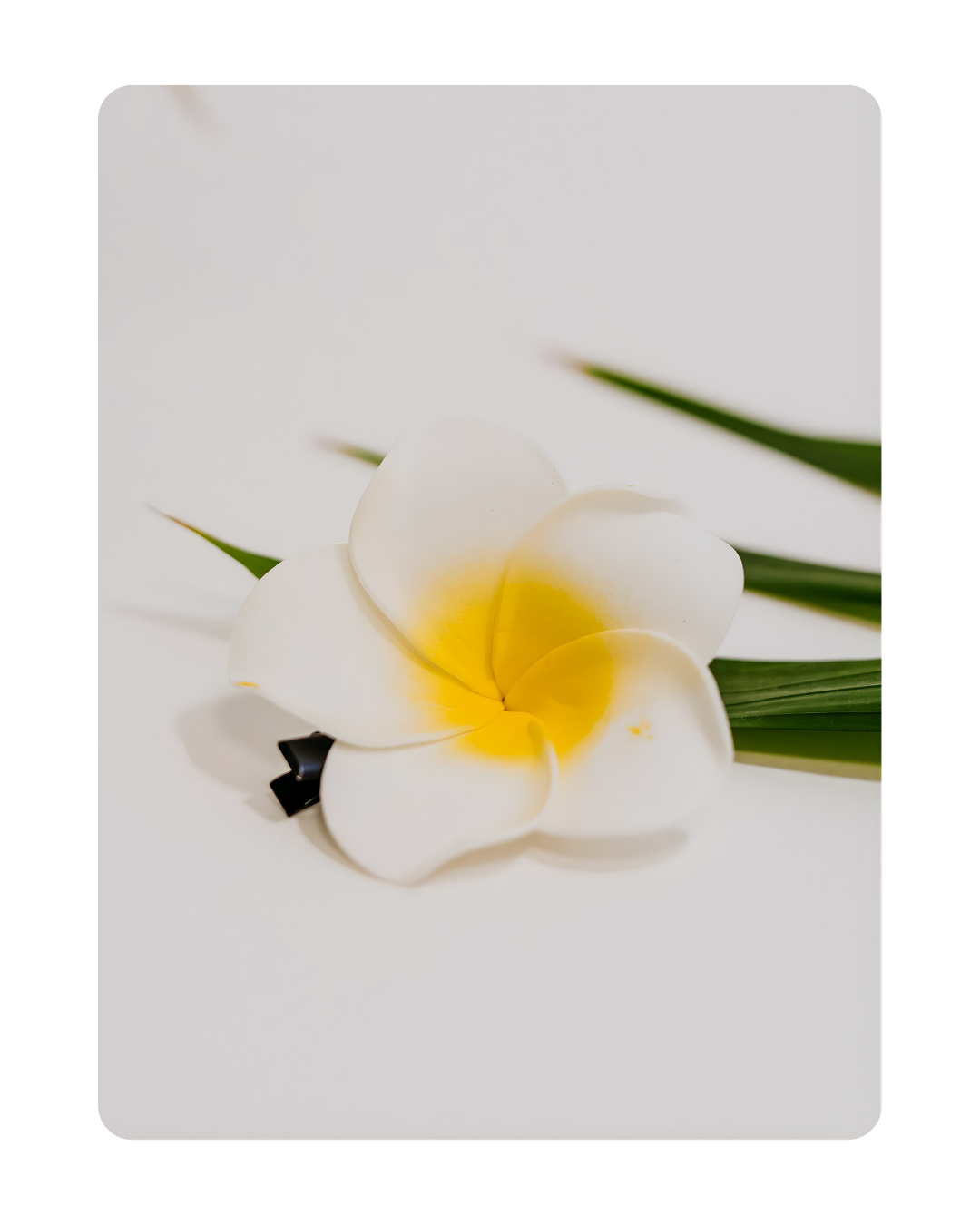 Juukseklamber – Bali Lill