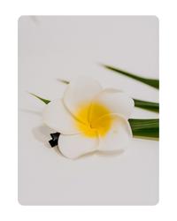 Juukseklamber – Bali Lill